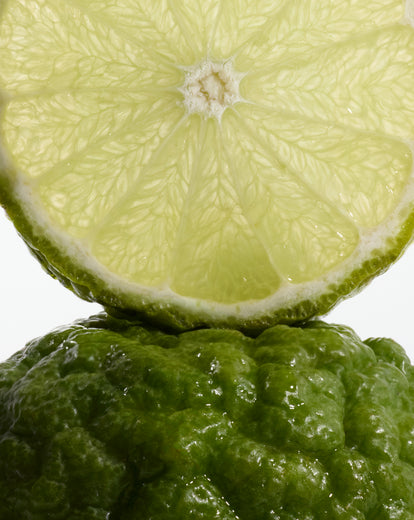 Desodorante en stick Yuzu Basilic Energizante